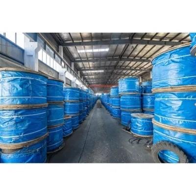 Non-Alloy 4xV39 5FC Eeips Steel Wire Rope for Marine Engineering Ship Crane Type 316