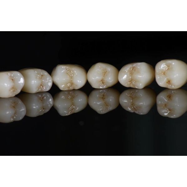 1530C Pre затеняло кулачок Cad блоков Zirconia со значениями яркости