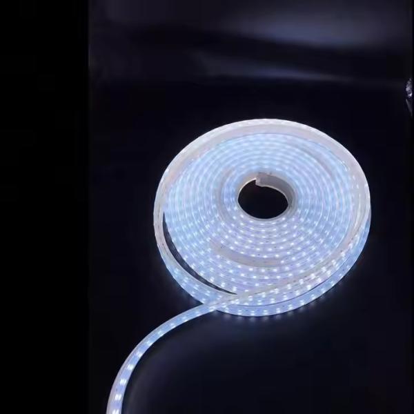SMD5050 Led Stripes Lighting in Tunnel High Quality AC220V Silicone Horse Race Luces Led 60 IP68 Light Strings