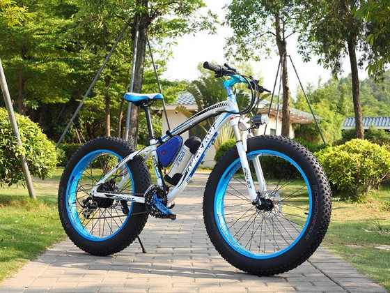 48v 500W 1000w MTB Electric fat Bikes