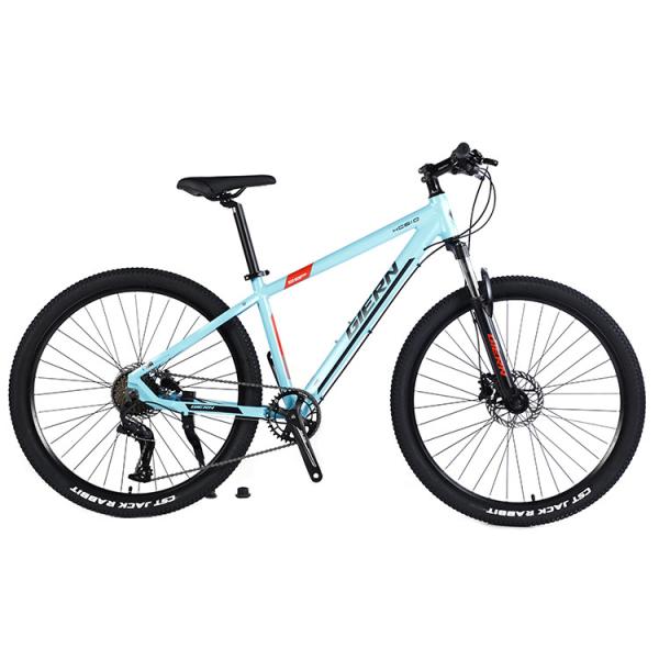 Bicicleta de montanha de 29 polegadas para adultos em estrada