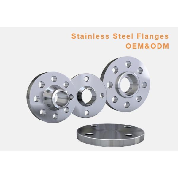Pickling polishing DN600 Forged Stainless Steel 304 Flanges