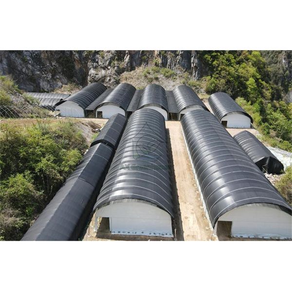 Single-span film blackout Light Deprivation greenhouse for growing mushrooms