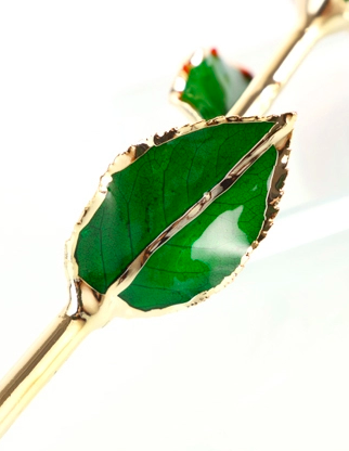 High Quality Gold Trimmed Rose Preserved Flower Beautiful Handmade Gifts for Woman