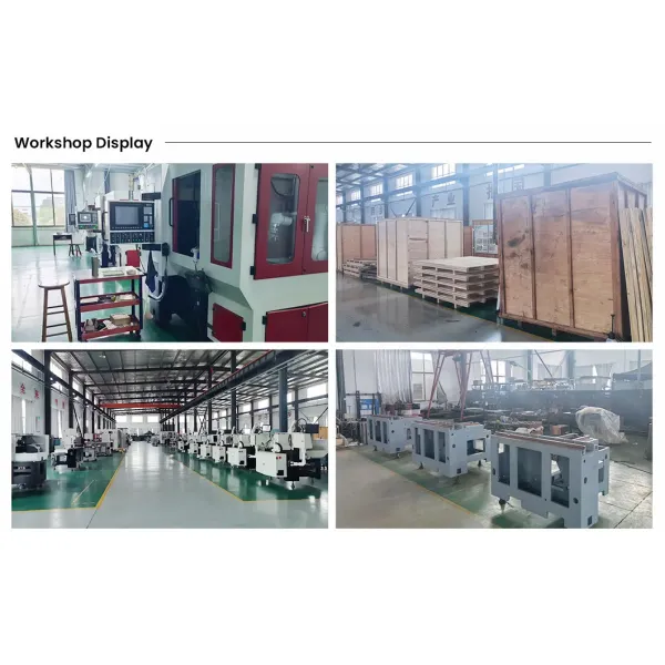 3-Axis CNC Programmable Tool Grinding Machine for Mould Processing Bit Sharpening