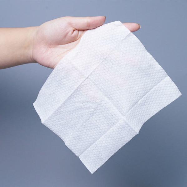 Multipurpose Clothing Cleaning Wipes Non-Woven 20x15cm 10pcs