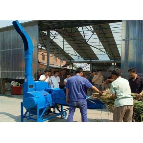 Professional Livestock Farming Equipment Easy Operate Animal Feed Cutting Machine