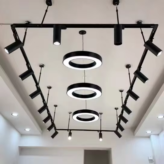 Factory Direct Wholesale Wire Rope Cable Gripper Lamp Hanging Hardware Adjustable Steel Fitting Safety Lifting Accessory