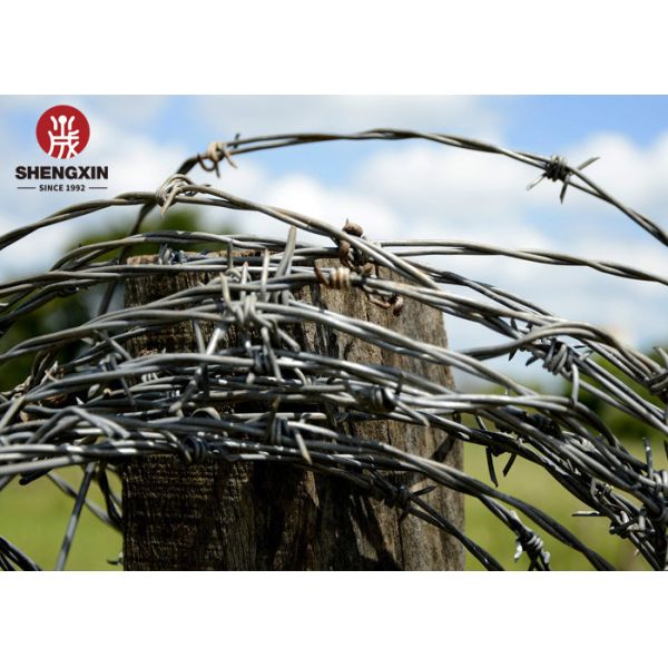 Heavy Pvc Coated 960mm Galvanized Barbed Wire Anti Rust