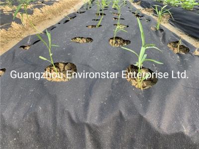 Polypropylene Spunbond 150GSM Garden Weed Barrier Fabric
