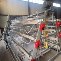 OEM de Chick Cage do bebê da grelha do quadro do GV A com sistema de ventilação