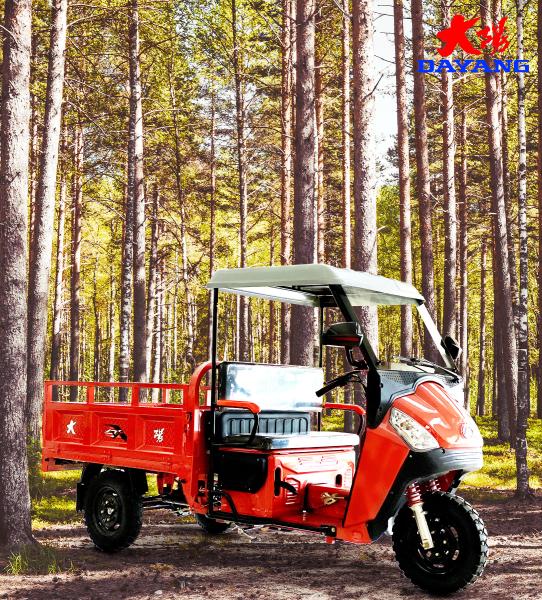 DAYANG C2 175CC Gasoline Engine Cargo Tricycle Lightweight and Ideal for Narrow Roads