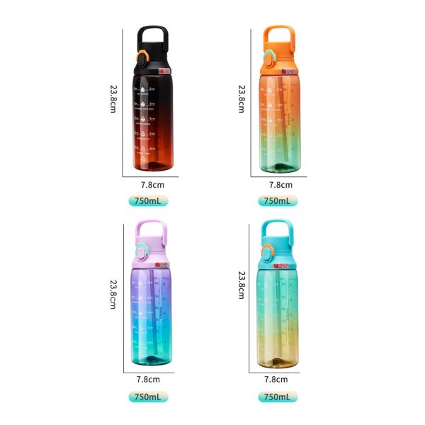 Modern Design Style 750ml Capacity Suction Cap Sport Kettle with Handle and Straw
