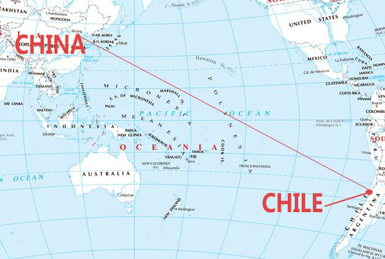 Experienced Regional Transit Service Time Efficient Chile China Professional