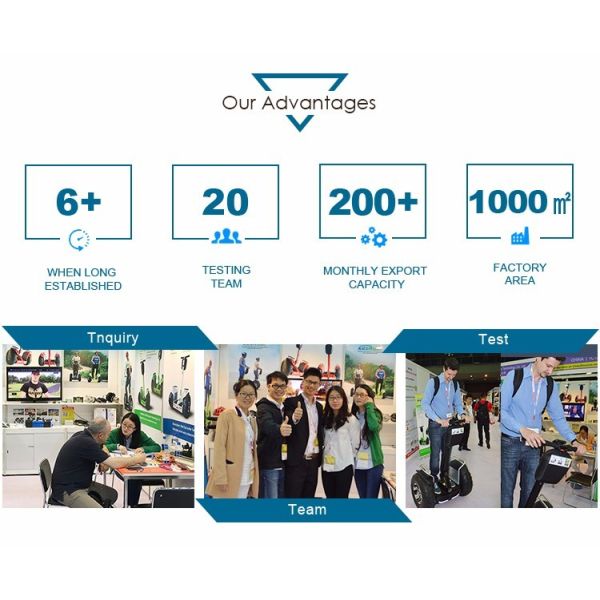 Portable Folding Motorized Scooter 350W 24V Lithium Folding Electric Skateboard