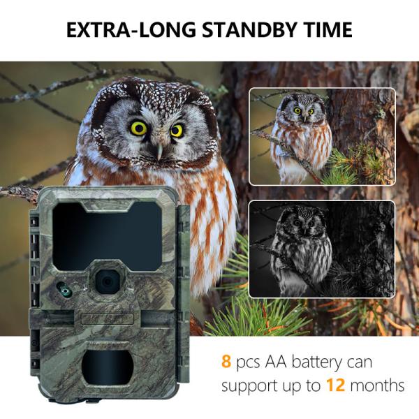 KW788 Trail Camera hunting camera Waterproof 4K 32MP Easy Navigate simple use robust long wo