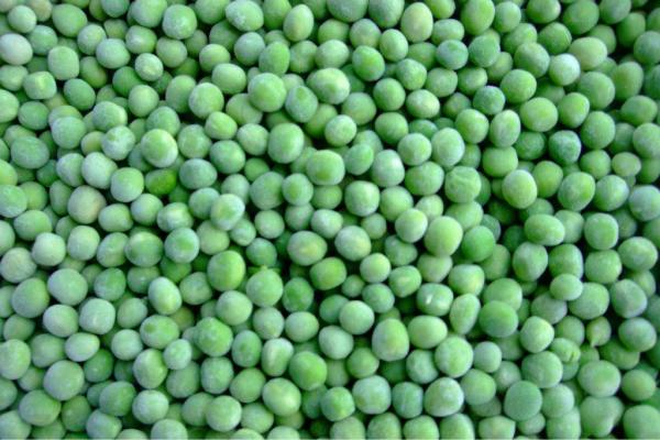 Wholesale IQF Green Peas Bulk 10kg Frozen Vegetables