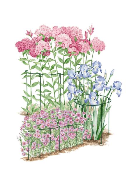 Semicircle 35cm X 15cm Half Round Metal Plant Supports Cage