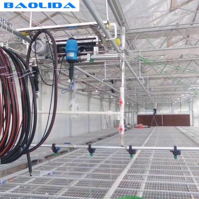 Sistema de irrigação da estufa do trigo/sistemas de irrigação pretos de Polytunnel