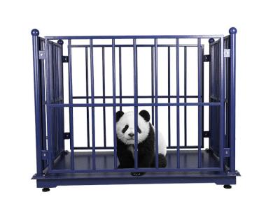 Electronic OEM 150kg 1M Livestock Scales For Cattle