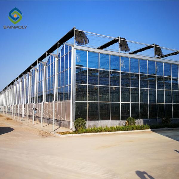 Alloy Transparent 9.6m Commercial Glass Greenhouse