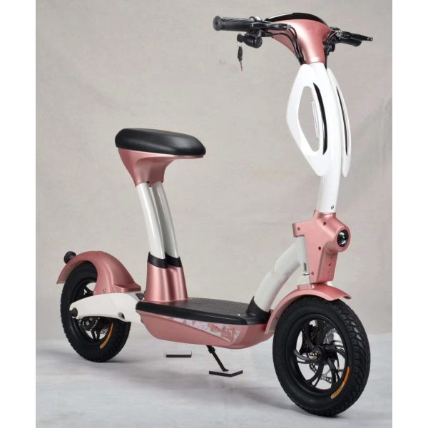 EN LA VENTA 2 - rueda vespa del equilibrio eléctrico del motor de 250 vatios 12 batería de litio de la rueda 10-15ah de la pulgada