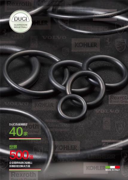 Industrial Grade HPV145 Hydraulic Pump Seal Kit for ZX330 ZX350 EX330 9260886 9195241 9195242