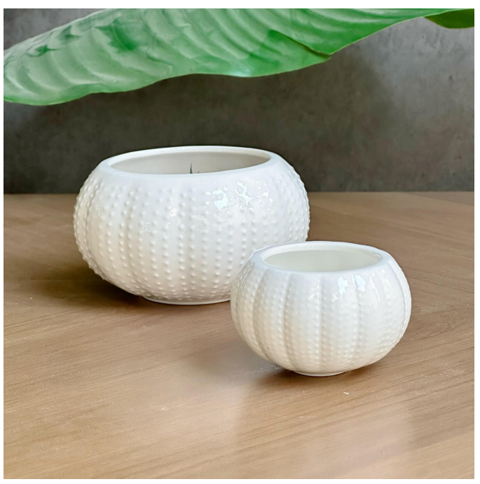  sea urchin shaped Ceramic bowl Ceramic tableware for family hotels, made of high-quality ceramics, fashionable household items