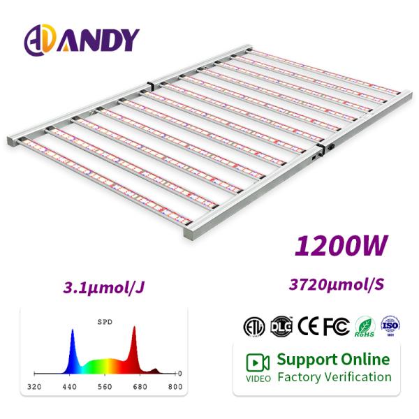 1200W luz de crecimiento LED de espectro completo para plantas de interior