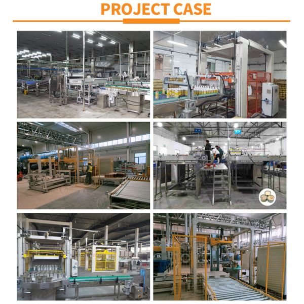 Caja automática de barril de bandeja de caja de cartón de embalaje de la máquina paletizador