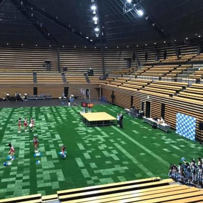 45mm Height Synthetic Artificial Grass For Soccer Football Sport Court SGS Certificate