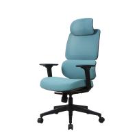 SGS ejecutivo de cuero ergonómico ajustable Mesh Chair Lumbar Support de la silla 3D