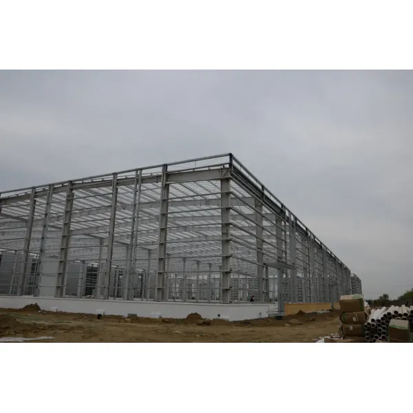 Prefabricated Steel Structure Industrial Workshop Building with CE Certificate, Customized Size, and Seismic Grade 8