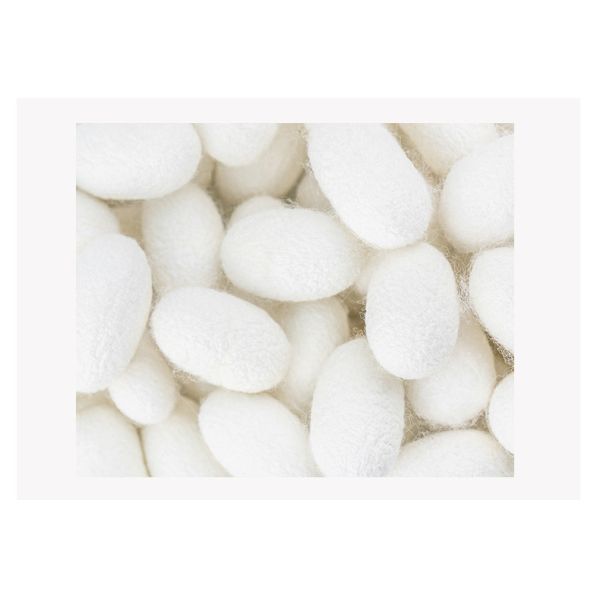 100% Pure Mulberry Silk Scrunchies For Women Soft Silk Hair Scrunchies For Women Prevents Hair From Frizzing And Damage