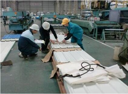 Light Steel Frame Building System With Single Wall Claddying And Roof Sheeting