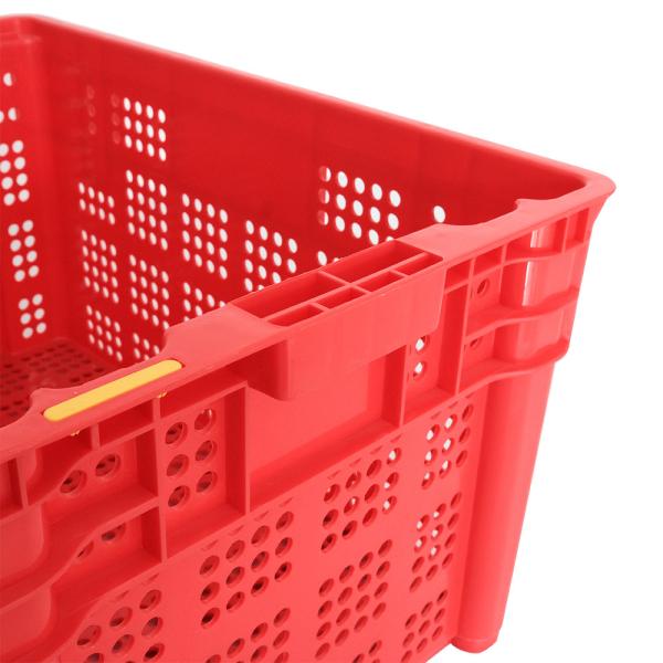 Envio Caixa de armazenamento de plástico para aquário Caixa de ovos de plástico