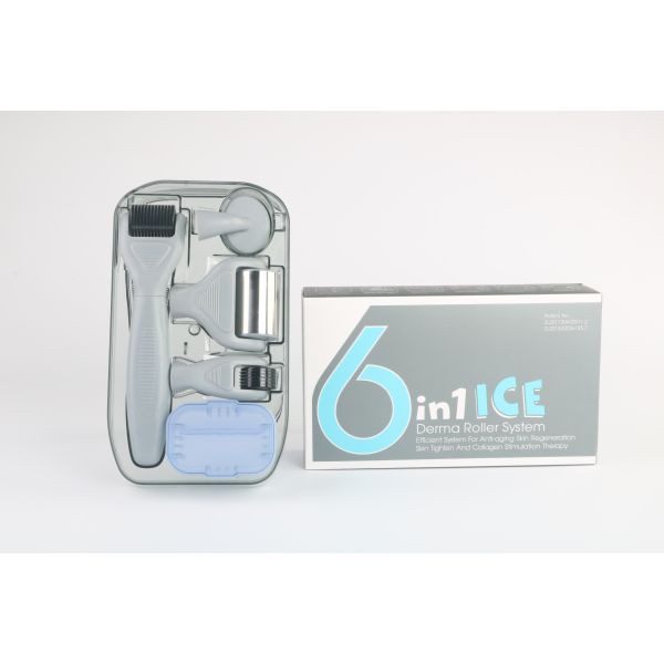 6 in 1 Derma Roller Kit with Ice Roller Skin Cooling Derma Care Facial Beauty NO Plugs Type
