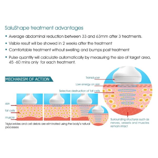 *New product looking for distributor! Hifu slimming machine