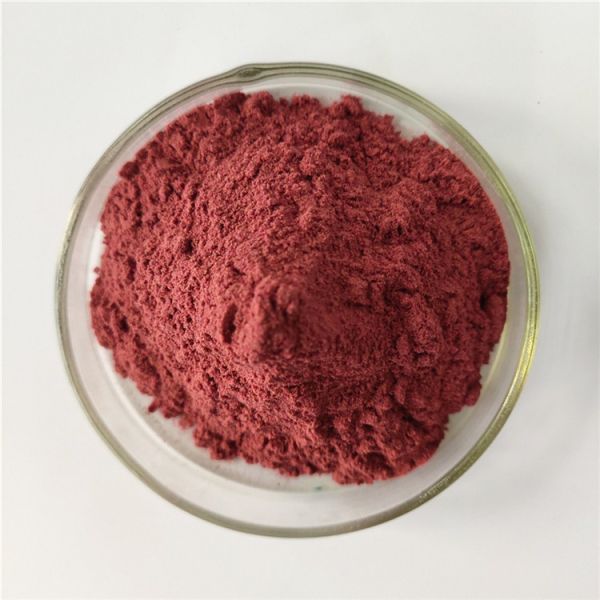 Best Selling Products Organic Acai Berry Powder In Bulk Stock
