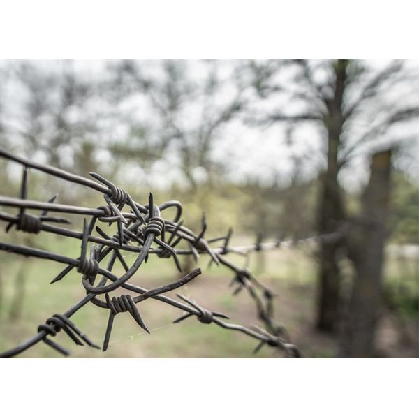 Длина 200 м нержавеющей стали колючая проволока