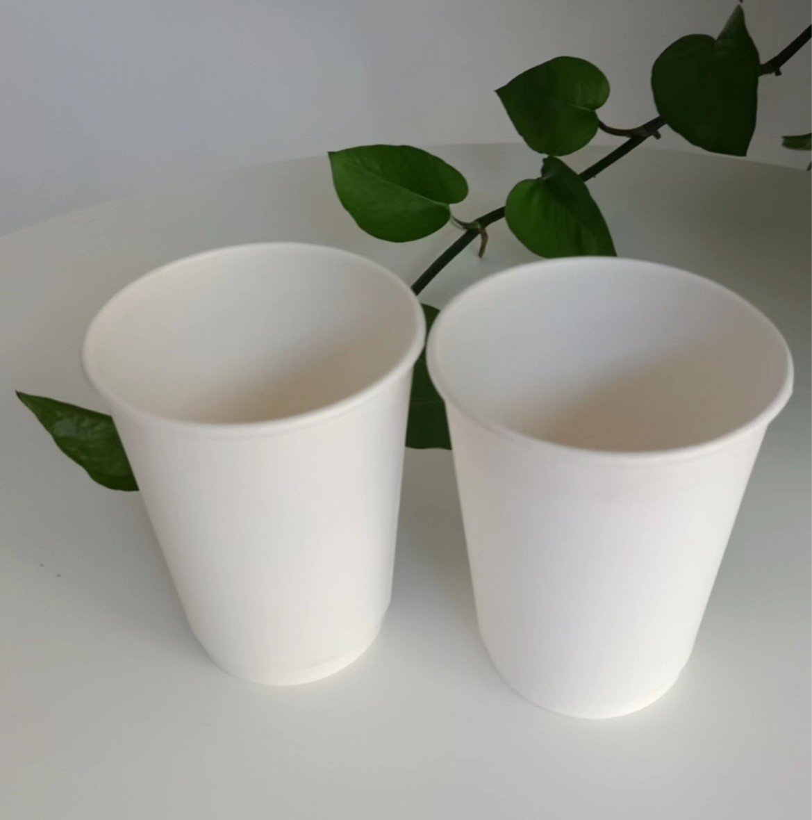 Disposable 12oz 300g 18PE 250 Double Wall Paper Cups 2.5oz-22oz Customized Request