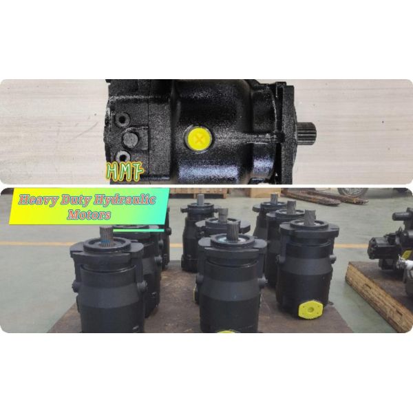 Essential for High-Pressure Hydrostatic Transmissions Axial Piston Pumps