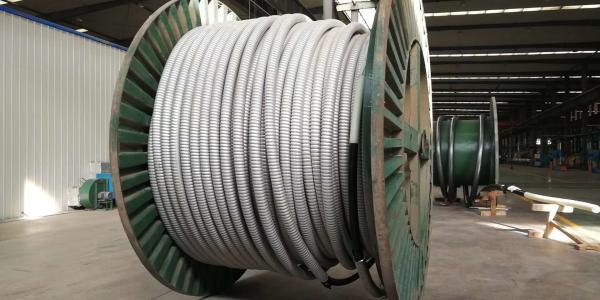 XLPE Insulated Armoured Power Cable EHV High Voltage 400mm2 600m2 800mm2