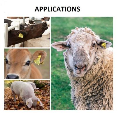 TPU Cow Ear Tag Number 98mm Cattle Tag Numbering System