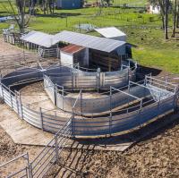Panel de ganado gris claro cerca de alta flexibilidad equipo de rancho para la granja