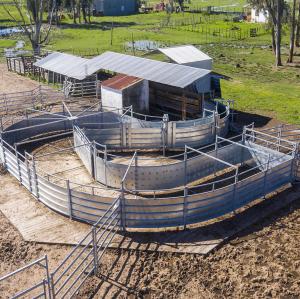 Light Grey Cattle Panel Fence High Flexibility Ranch Equipment For Farm
