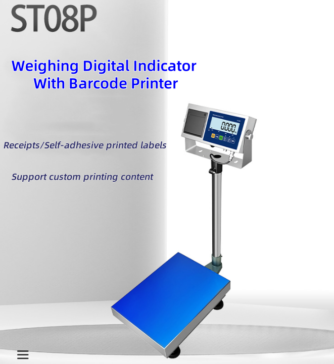 Industrial Stainless Steel Digital Scale Indicator With Printer