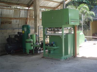 Eco Friendly Fruit Tray / Egg Tray Production Line 350 -3000pcs/h Capacity
