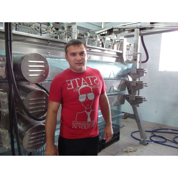 Нержавеющая сталь в форме птичьего перья 220V 380V на заказ