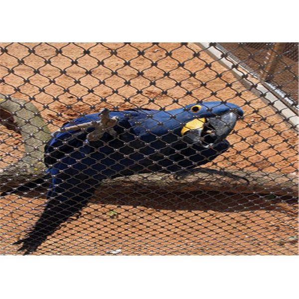 300-400n/Mm2引張強さの飼鳥園ワイヤー網の反腐食性の反錆